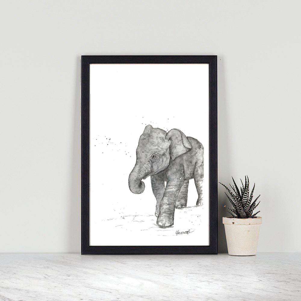 Elephant Calf