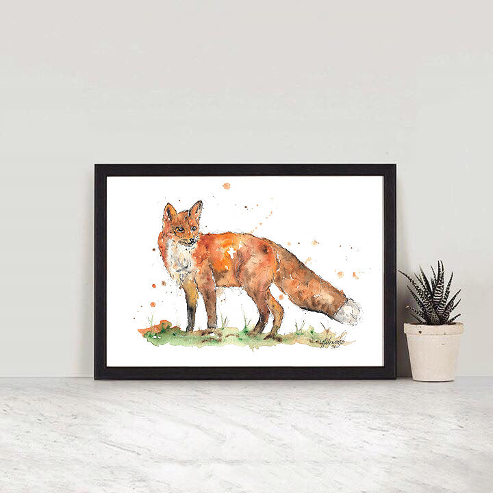 Red Fox