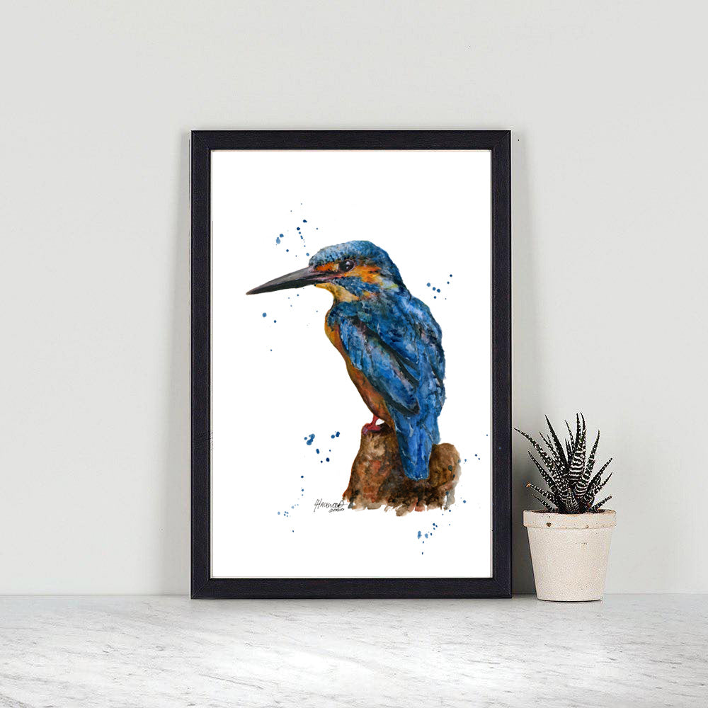 Kingfisher