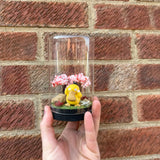 Psyduck Glass Terrarium