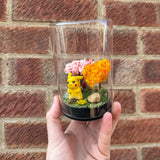 Pikachu Glass Terrarium