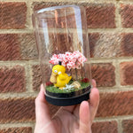 Psyduck Glass Terrarium