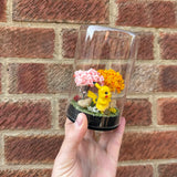Pikachu Glass Terrarium