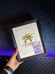 Alakazam - Original Watercolour With Reverse Holo Masterball