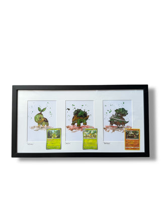 Turtwig Evolution Trio