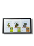 Turtwig Evolution Trio