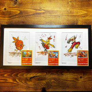 Torchic Evolution Trio