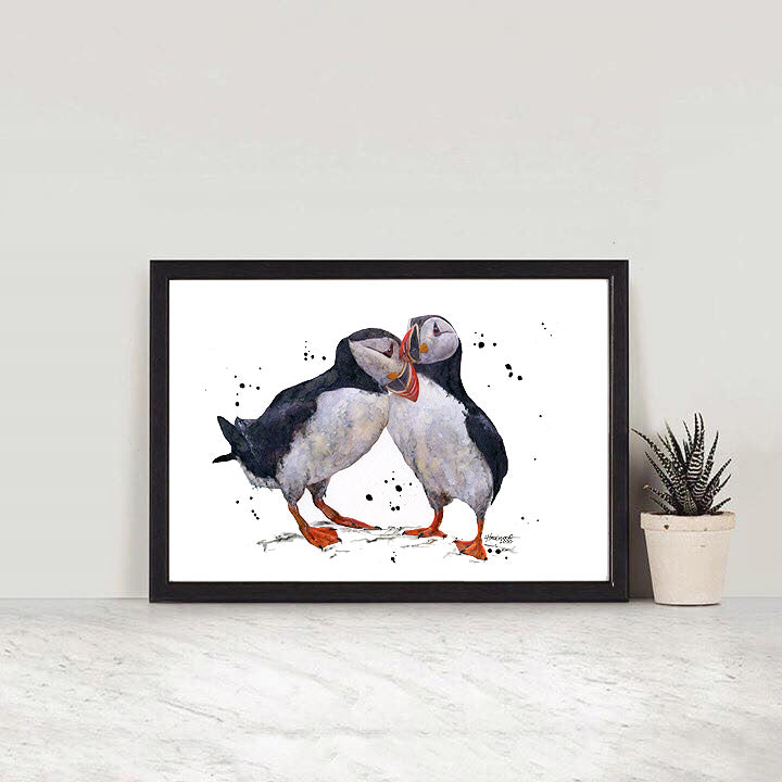 Puffins In Love
