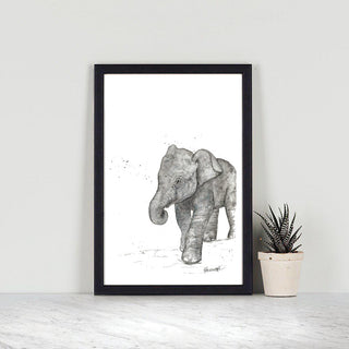 Elephant Calf