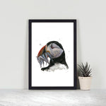 Fishing Puffin