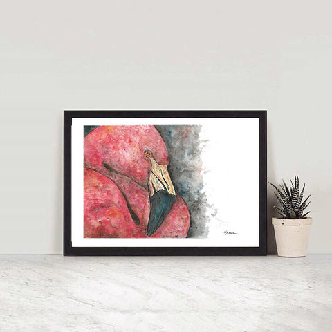 Flamingo