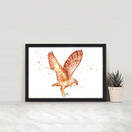 Flying Barn Owl