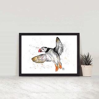 Flying Puffin