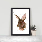 Hare
