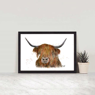 Highland Cow