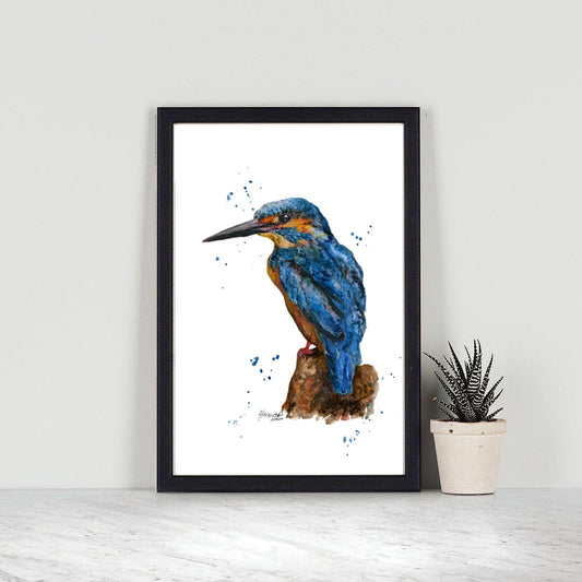 Kingfisher