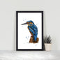 Kingfisher