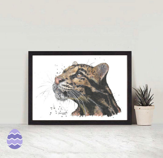 Clouded Leopard