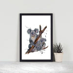 Koala Family