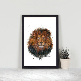 African Lion