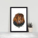 African Lion