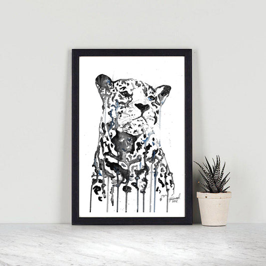 Snow Leopard