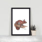 Red Squirrel
