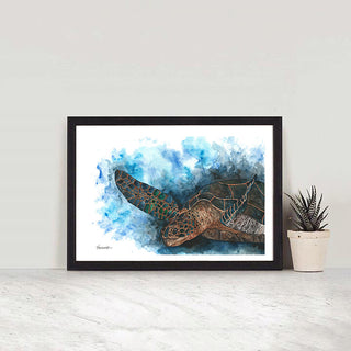Loggerhead Sea Turtle
