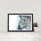 Grevy’s Zebra